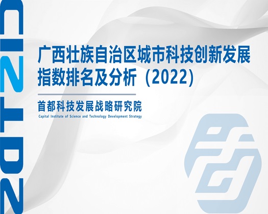 看亚洲插b免费视频【成果发布】广西壮族自治区城市科技创新发展指数排名及分析（2022）